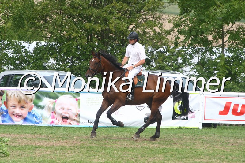 308M5008_Qualintor_Springpferde Mx.JPG